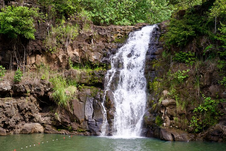 Private Tour Oahu featuring Waimea Waterfall & Botanical Garden - Photo 1 of 25